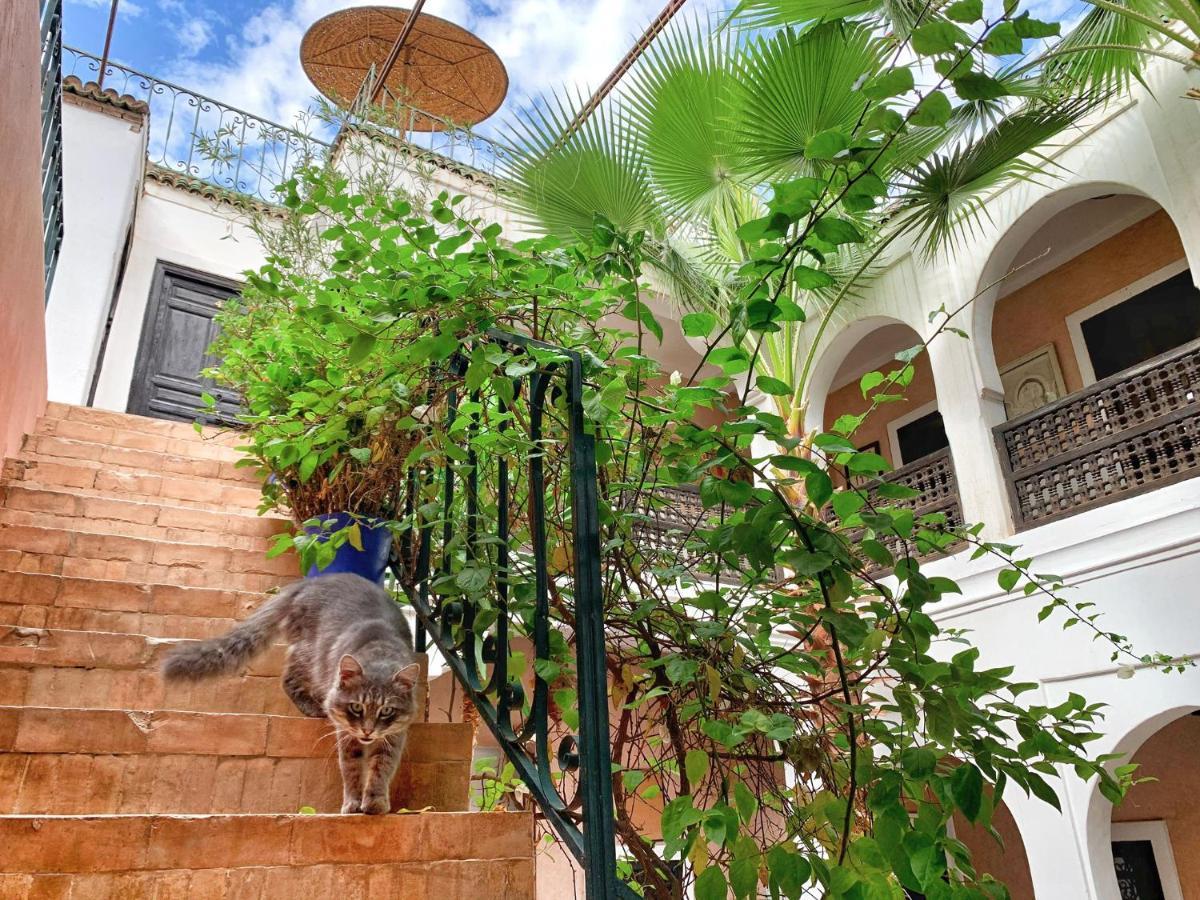 Riad Rockech Marrakesh Exterior photo